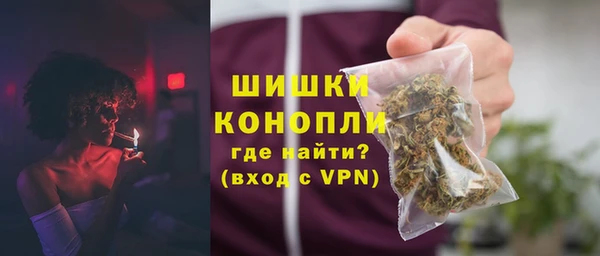 индика Сосновоборск