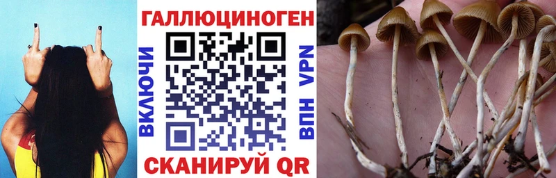 Галлюциногенные грибы мухоморы MEGA сайт Дубна сколько стоит