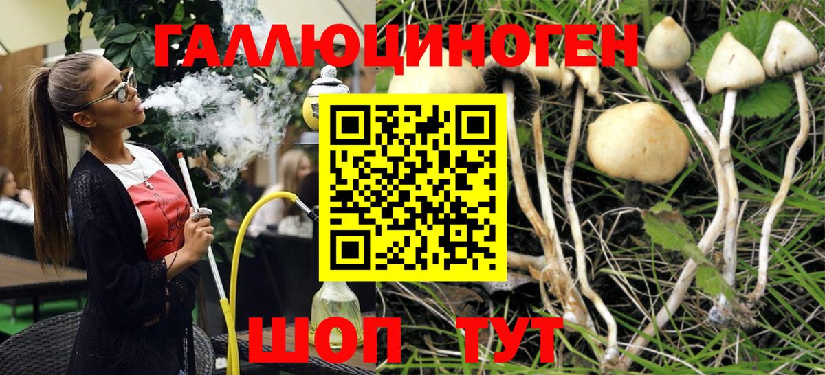 Псилоцибиновые грибы MAGIC MUSHROOMS Дубна