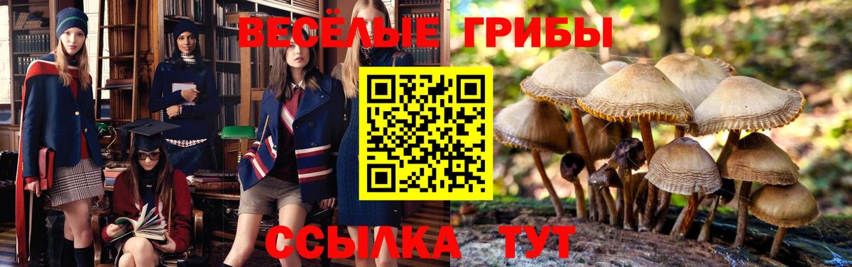 Псилоцибиновые грибы мухоморы  Галлюциногенные грибы MAGIC MUSHROOMS  Дубна  Вход с VPN 