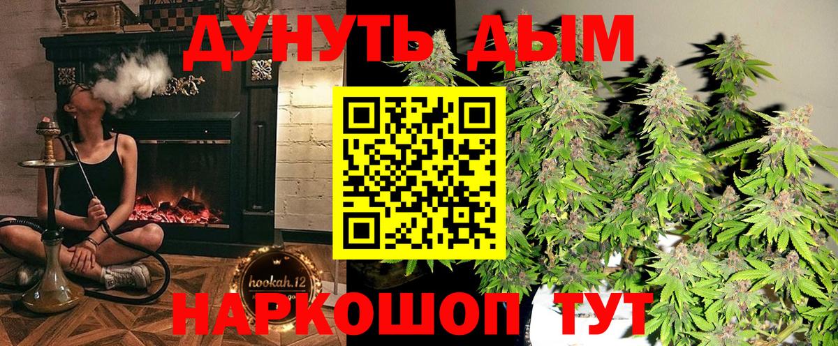 Бошки Шишки семена Дубна